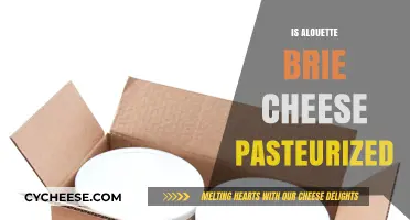Is Alouette Brie Cheese Pasteurized? A Complete Guide