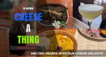 Exploring Alpaca Cheese: A Unique Dairy Delight or Myth?
