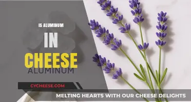 Is Aluminum in Cheese? Uncovering the Truth Behind This Claim