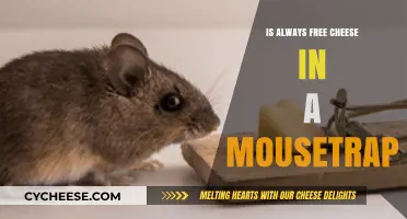 Free Cheese: A Mousetrap's Lure