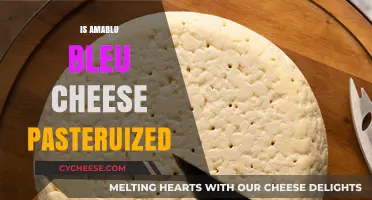 Is AmaBlu Bleu Cheese Pasteurized? Unraveling the Truth Behind the Cheese
