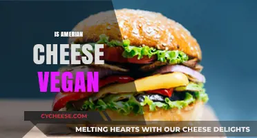 Is American Cheese Vegan? Uncovering the Truth Behind the Label