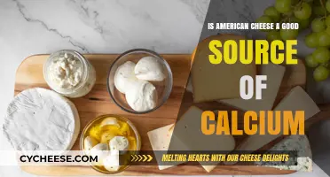 American Cheese: A Calcium-Rich Superfood?