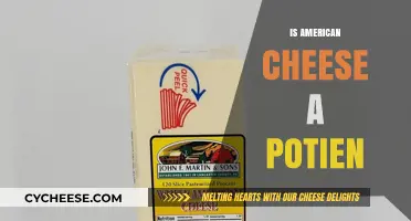 Is American Cheese a Protein Source? Unraveling the Nutritional Truth