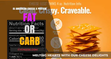 What's American Cheese? Protein, Fat, or Carb?