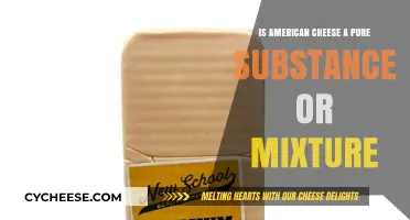 Is American Cheese a Pure Substance or Mixture? Unraveling the Mystery