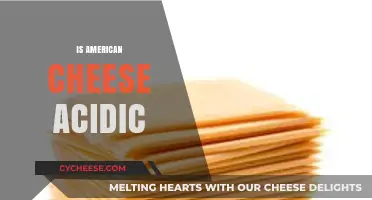 Is American Cheese Acidic? Uncovering the pH Truth Behind the Melt