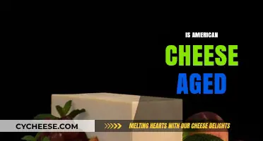 Is American Cheese Aged? Unraveling the Mystery Behind Its Texture