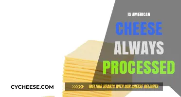 Is American Cheese Always Processed? Unraveling the Truth Behind the Slice
