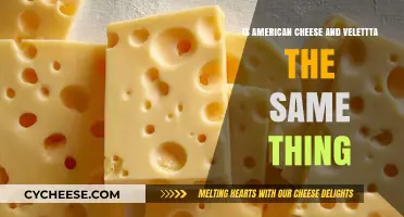 American Cheese vs. Velveeta: Are They Really the Same Thing?