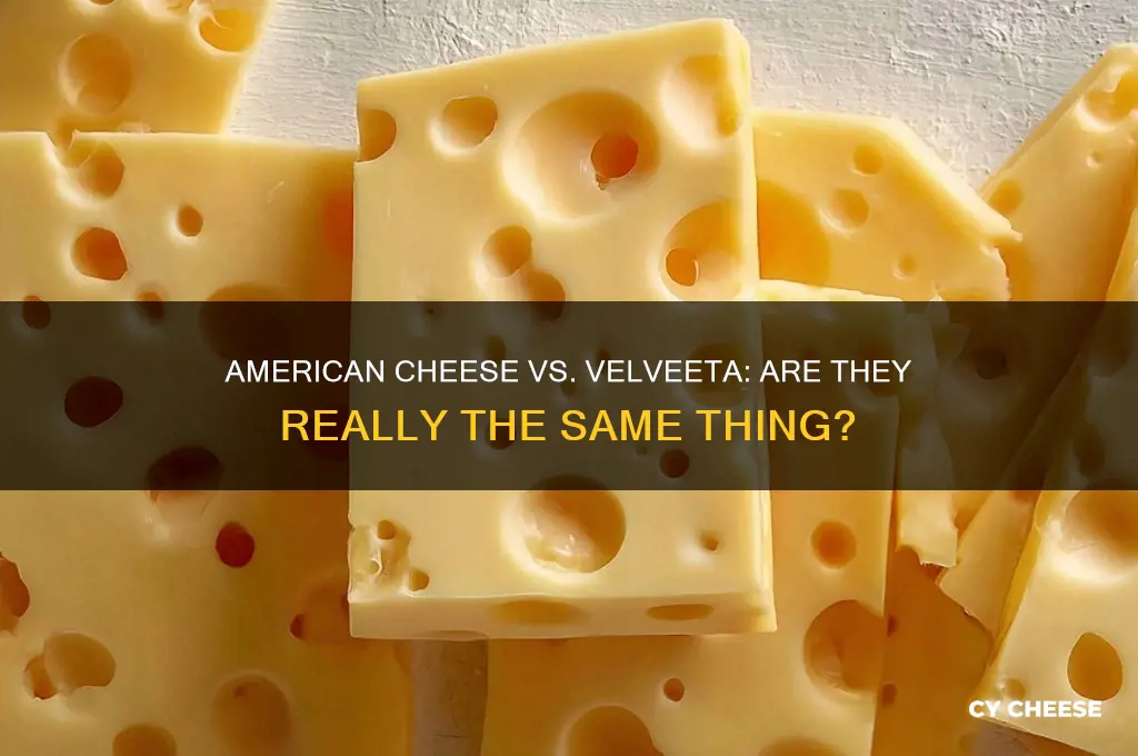 is american cheese and velettta the same thing