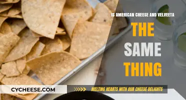 American Cheese vs. Velveeta: Unraveling the Melty Mystery