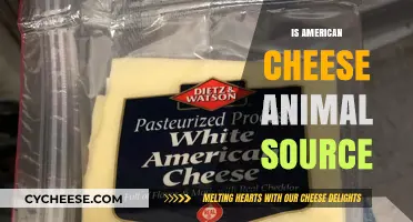 Is American Cheese Animal-Based? Uncovering Its Surprising Ingredients
