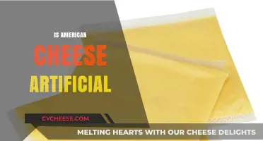 Is American Cheese Artificial? Uncovering the Truth Behind the Slice
