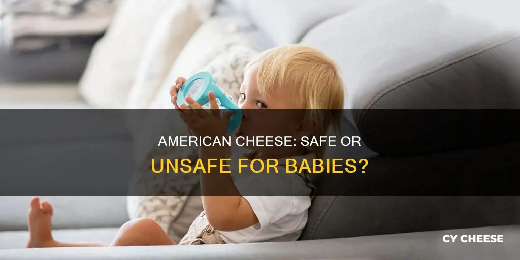 is american cheese bad for babies