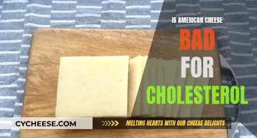 American Cheese: Cholesterol's Friend or Foe?