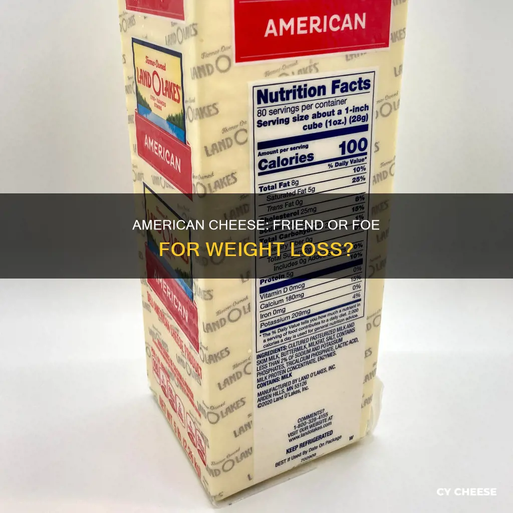 is american cheese bad for weight loss