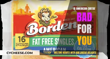 American Cheese: Healthy or Harmful?