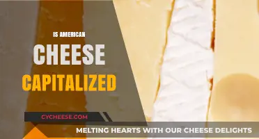 Is American Cheese Capitalized? Unraveling the Grammar Mystery