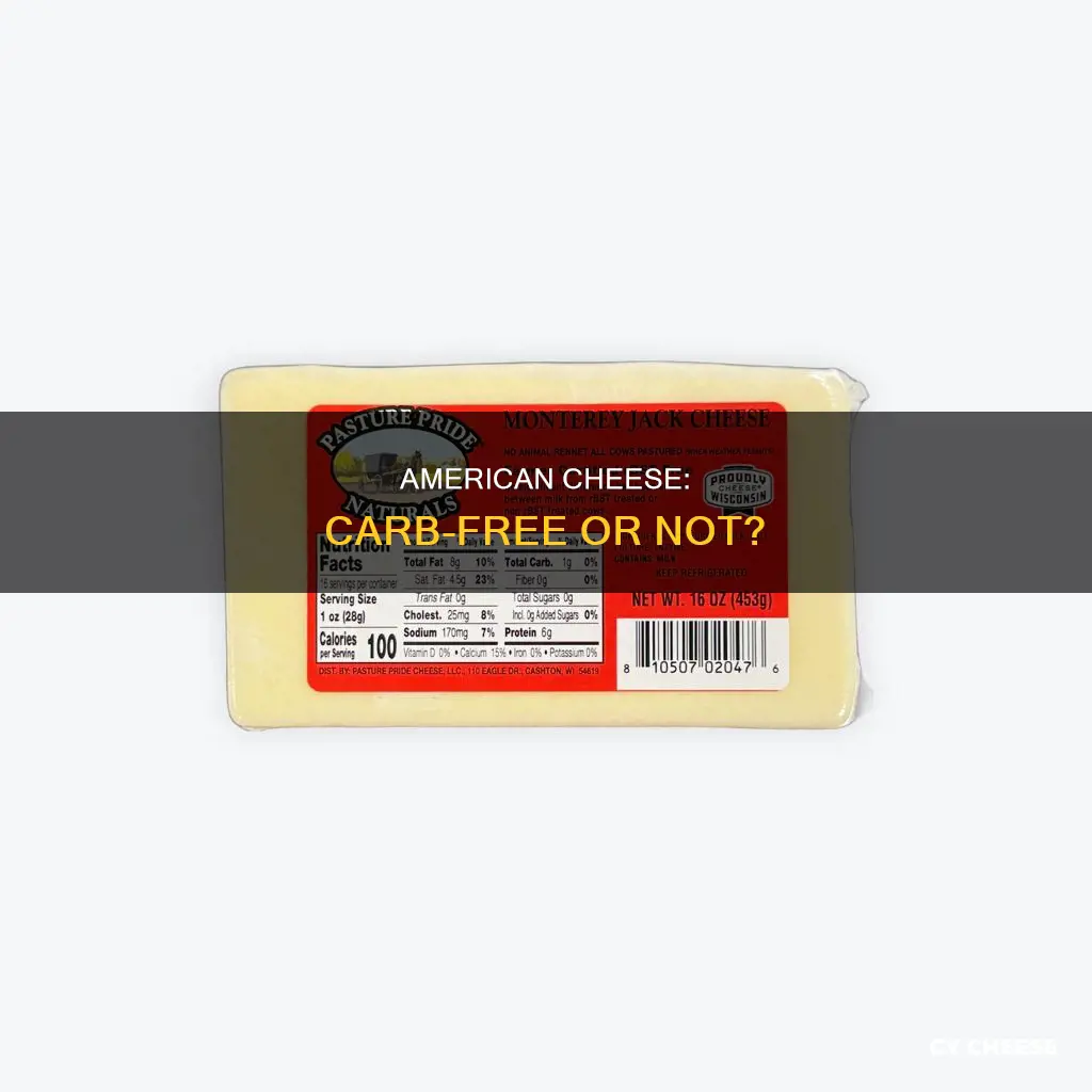 is american cheese carb free