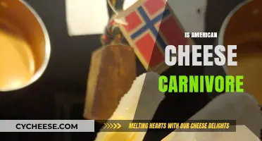 Is American Cheese Carnivore-Friendly? Unraveling the Dairy Dilemma
