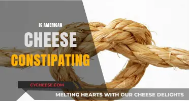 Is American Cheese Constipating? Unraveling the Digestive Truth