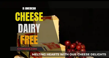 American Cheese: Dairy-Free or Not?