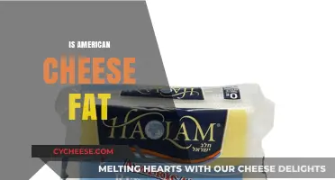 Is American Cheese Fattening? Uncovering the Truth About Its Fat Content