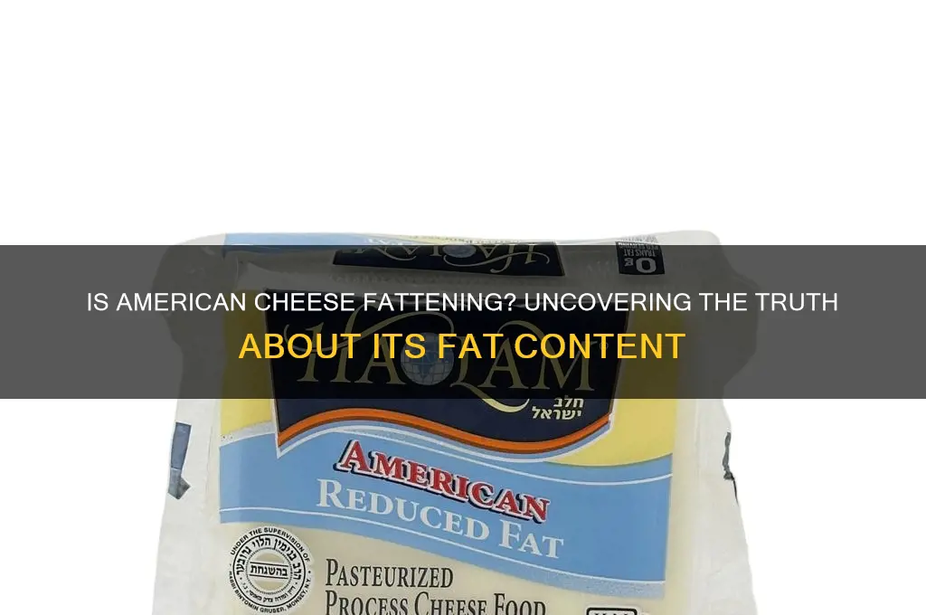 is american cheese fat