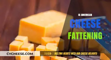 Is American Cheese Fattening? Uncovering the Truth About Its Caloric Impact