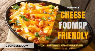 Is American Cheese FODMAP Friendly? A Dietary Guide