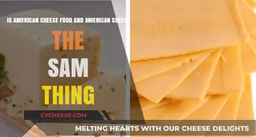 American Cheese Food vs. American Cheese: Unraveling the Dairy Dilemma