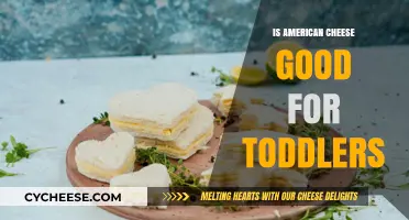 American Cheese: Healthy Option for Toddlers?