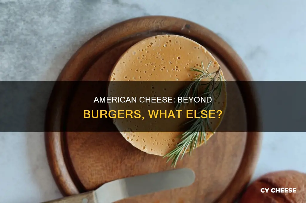 is american cheese good on anything but burgers