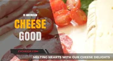 American Cheese: Delicious or Deceitful?