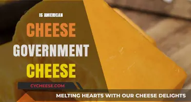 Is American Cheese Government Cheese? Unraveling the Dairy Mystery