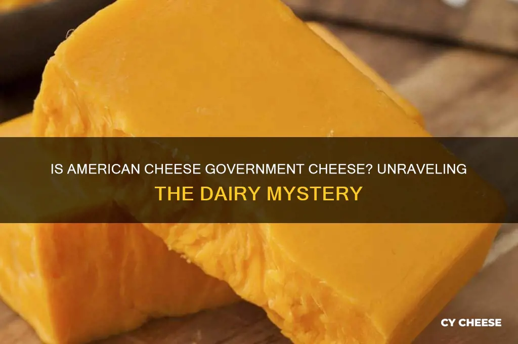 is american cheese government cheese