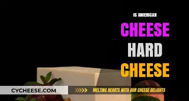 Is American Cheese Hard Cheese? Unraveling the Dairy Dilemma