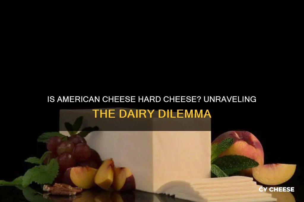 is american cheese hard cheese