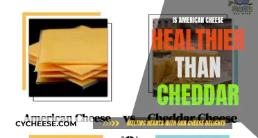 American Cheese vs. Cheddar: Unveiling the Healthier Choice