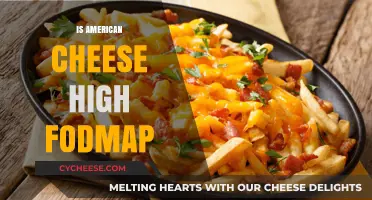 Is American Cheese High FODMAP? Unraveling the Dairy Dilemma