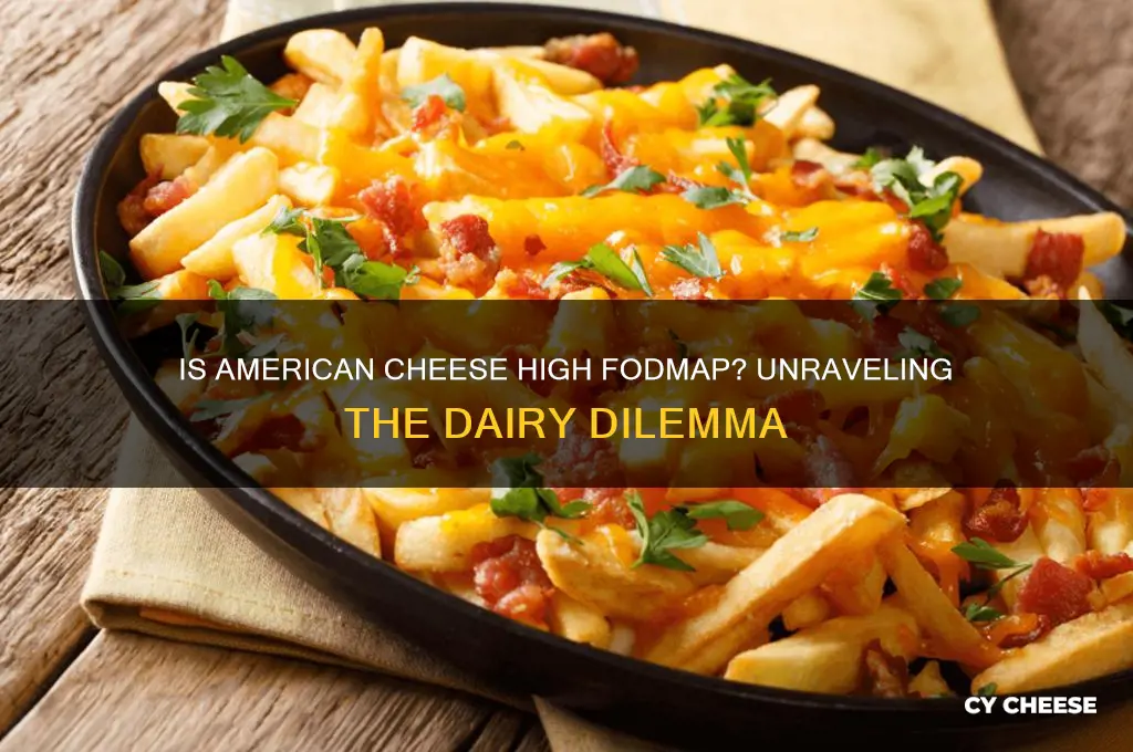 is american cheese high fodmap