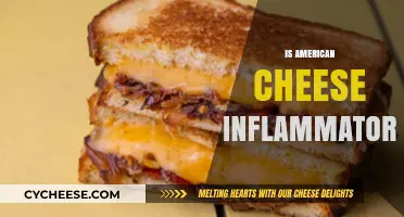 Is American Cheese Inflammatory? Uncovering the Truth Behind the Melt