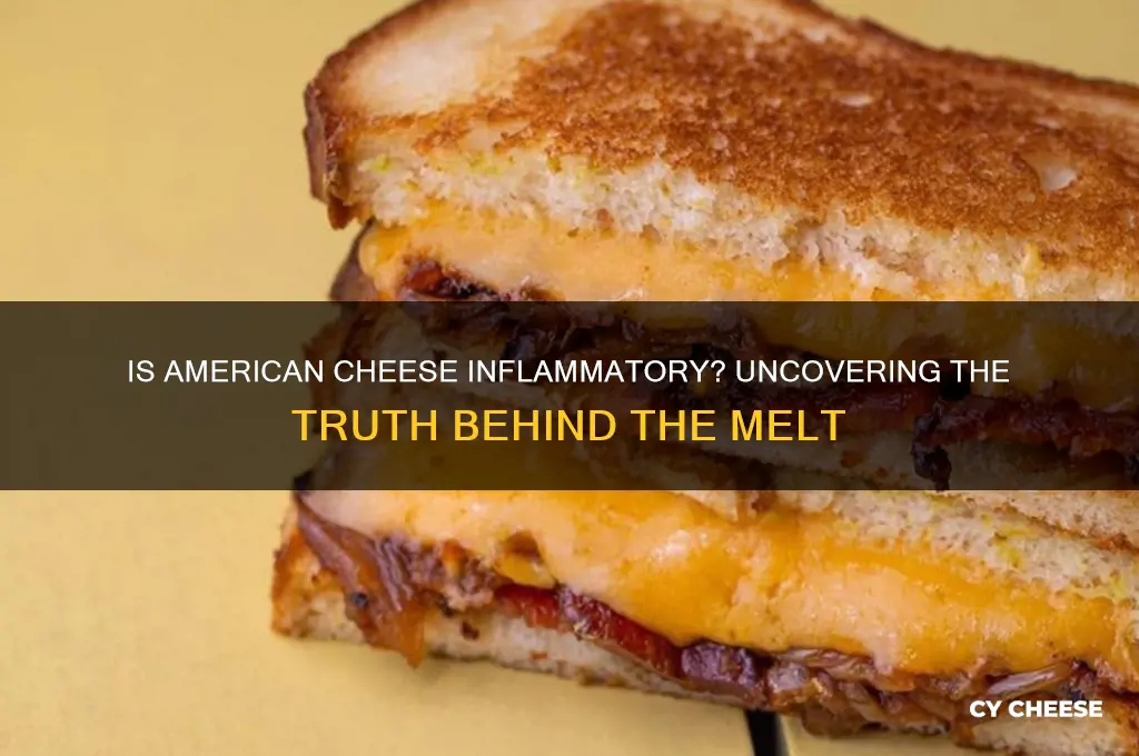 is american cheese inflammatory
