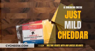 Is American Cheese Just Mild Cheddar? Unraveling the Mystery