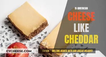 American Cheese: Cheddar's Cousin?