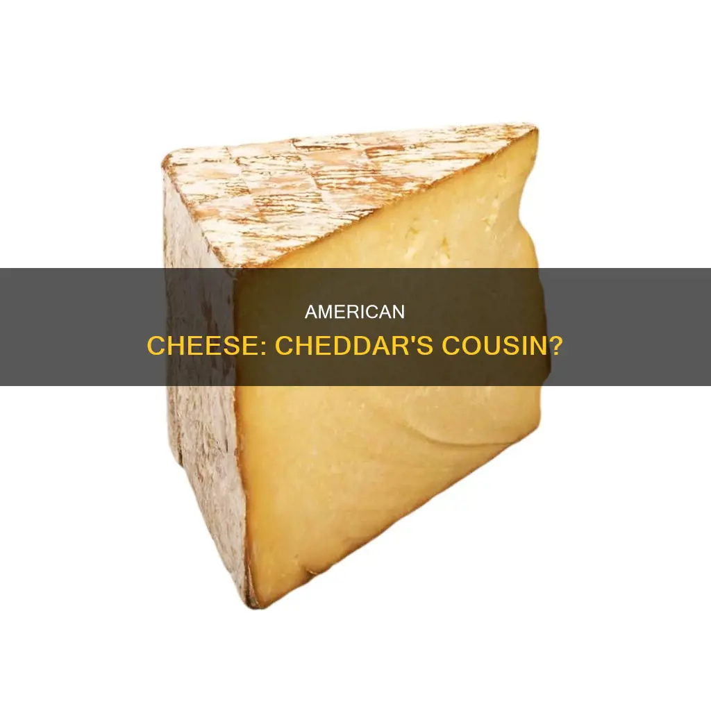 is american cheese like cheddar