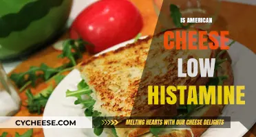 Is American Cheese Low Histamine? Uncovering the Truth for Sensitive Diets