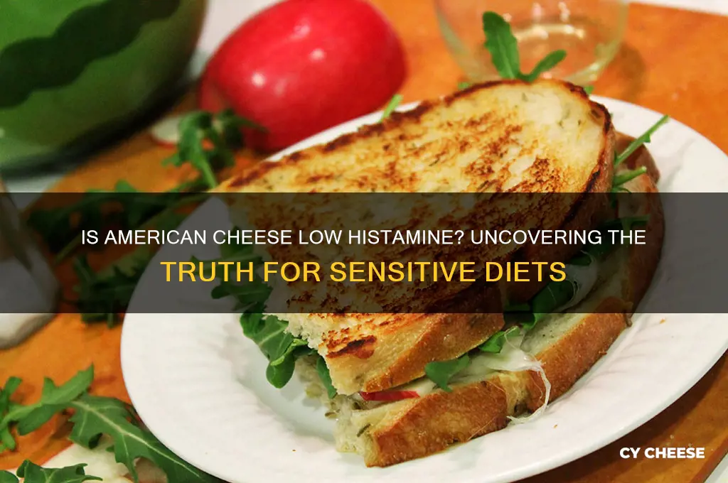 is american cheese low histamine