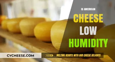 Is American Cheese Low Humidity? Exploring Its Moisture Content and Storage